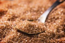 Enzymes in processing Sugar Sugar